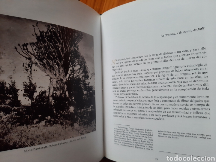 Libros: Estancia en Tenerife 1866-1867 Ricardo Ruiz y Aguilar - Foto 3 - 301945053