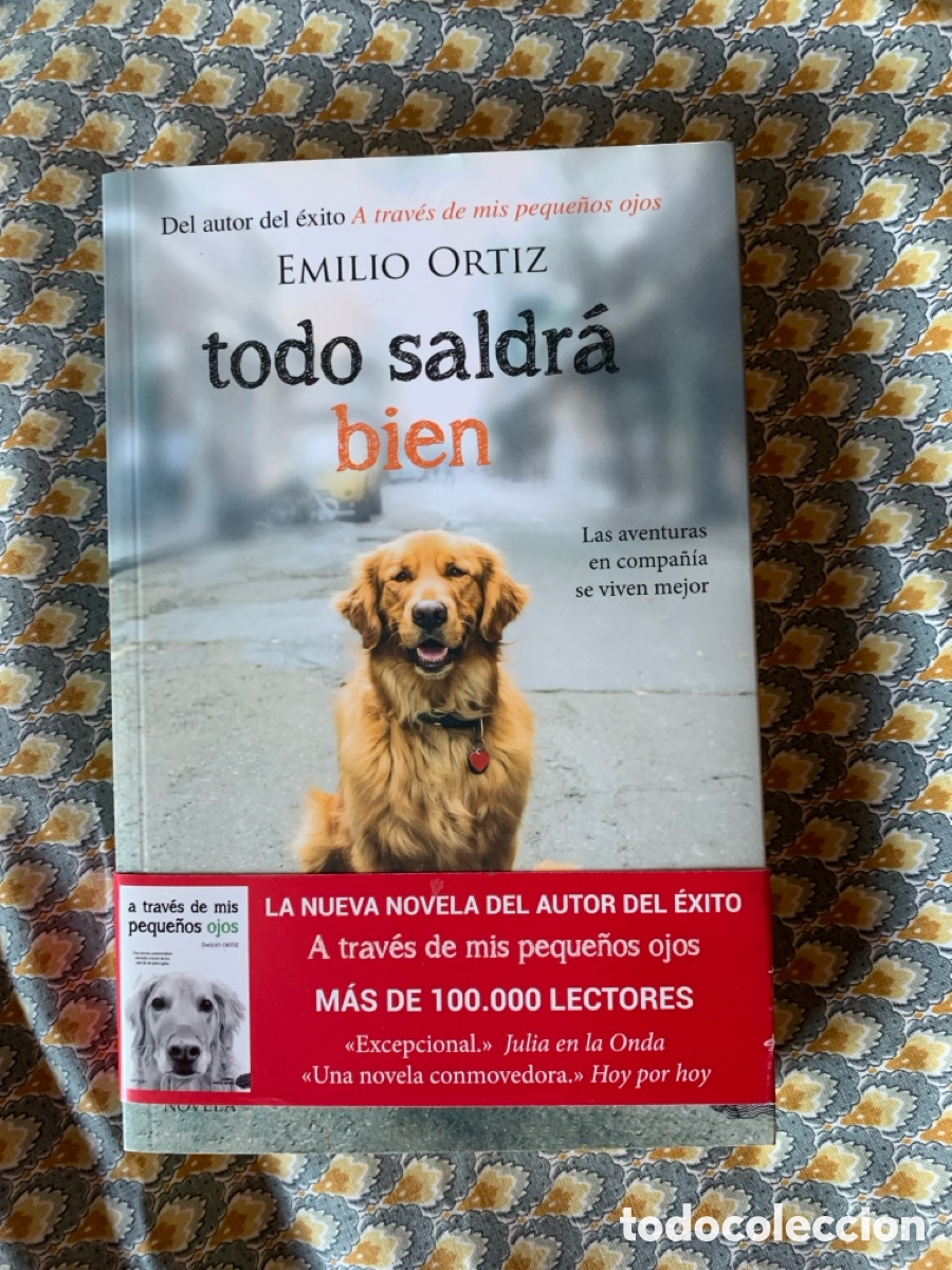 Libros: TODO SALDRA BIEN - ORTIZ,EMILIO - Foto 1