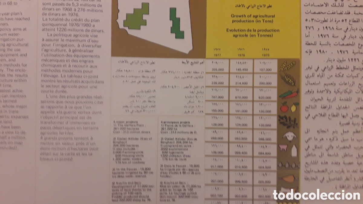 Libros: Libro la Libia de 1980,s - Foto 3