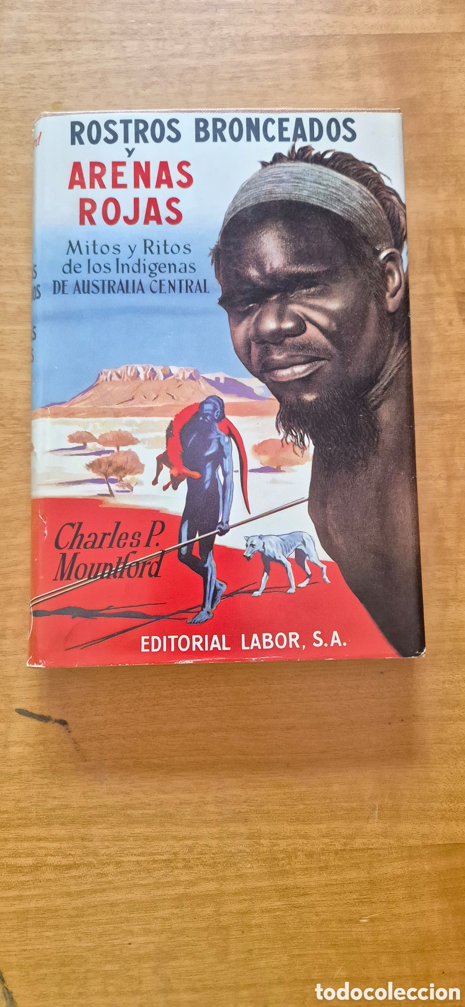 Libros: LIBRO ROSTROS BRONCEADOS