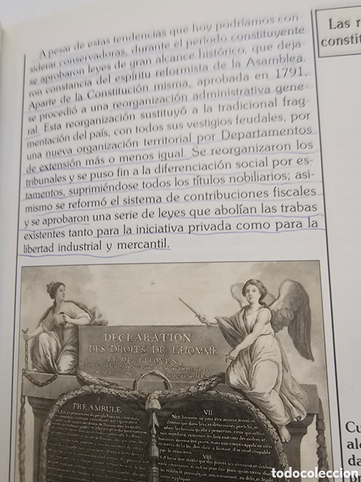 Libros: La revoluci&oacute;n francesa. Esperanza Ylan - Foto 4