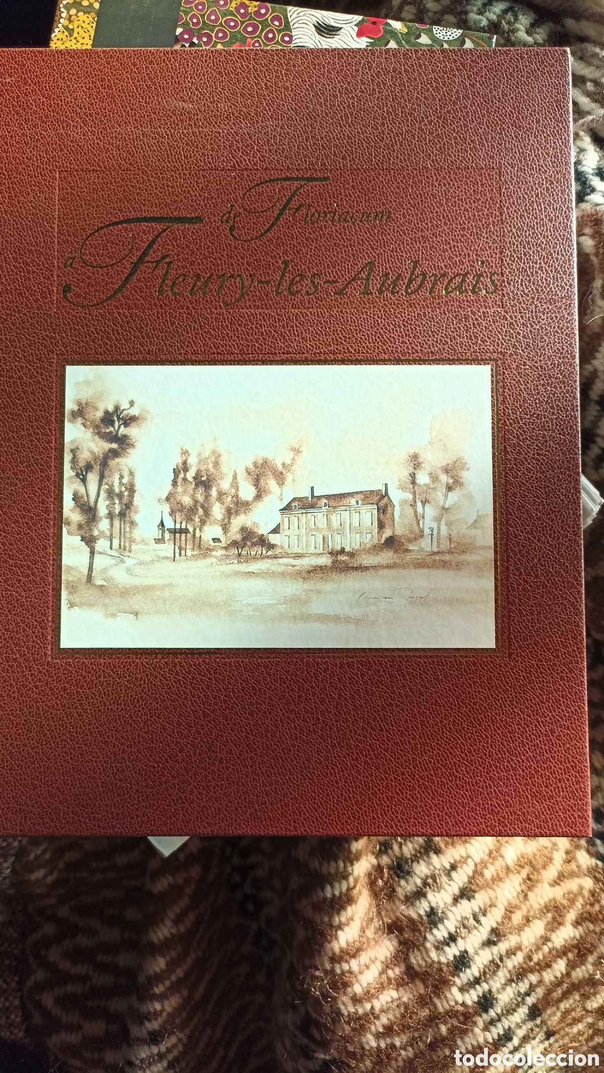 Libros: libro hist&oacute;rico titulado &rdquo;Floriacum &agrave; Fleury-les-Aubrais&rdquo;. En frances
