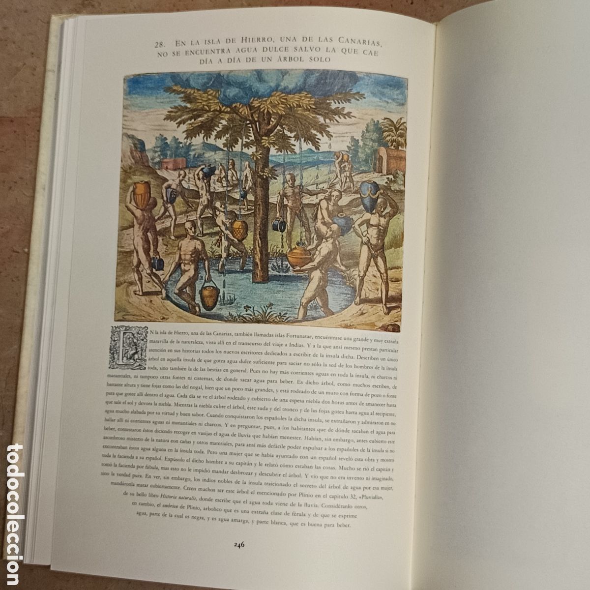 Libros: Am&eacute;rica de Bry - Theodor de Bry - Foto 7