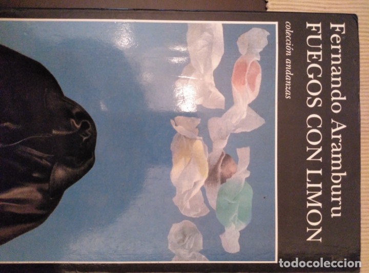 Libros: Fuegos con lim&oacute;n - Aramburu - Foto 1