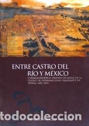 books: Entre Castro del R&iacute;o y M&eacute;xico. Correspondencia privada de Diego de la Cueva y su hermano Juan,