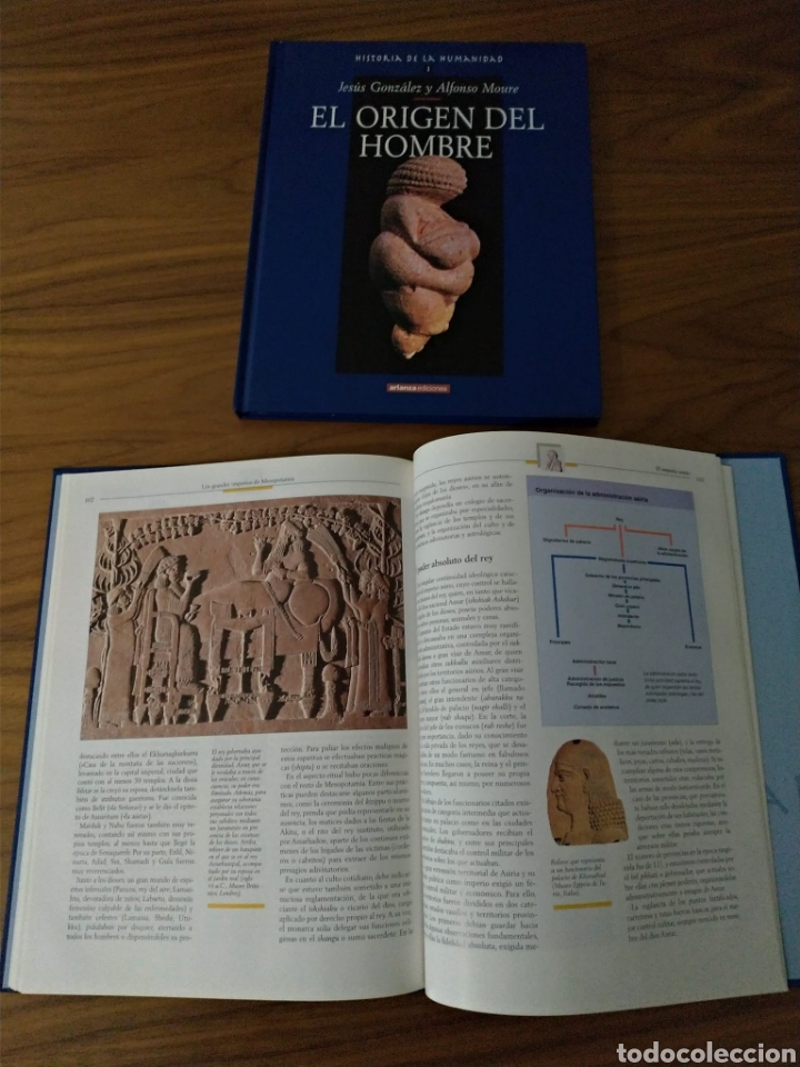 Libros: Historia de la humanidad - Foto 6