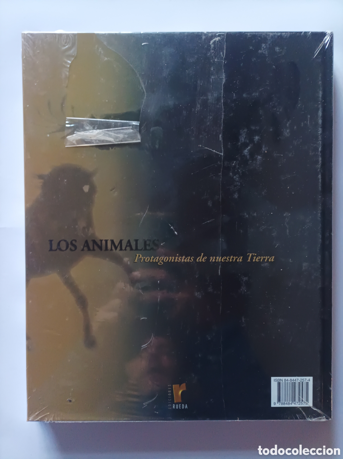 Libros: LOTE 3 LIBROS. LOS MAYAS. LOS ANIMALES. ED. RUEDA. IMPECABLES. - Foto 3