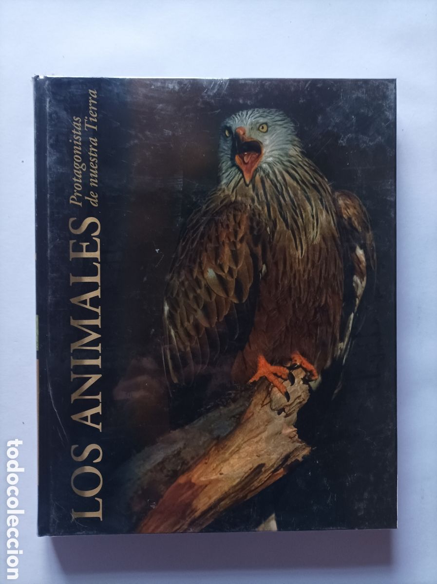 Libros: LOTE 3 LIBROS. LOS MAYAS. LOS ANIMALES. ED. RUEDA. IMPECABLES. - Foto 4