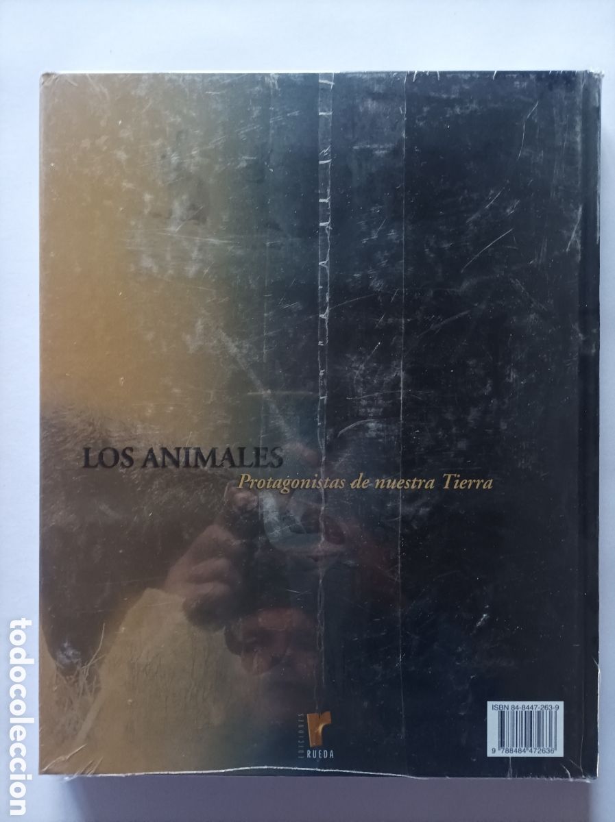 Libros: LOTE 3 LIBROS. LOS MAYAS. LOS ANIMALES. ED. RUEDA. IMPECABLES. - Foto 5