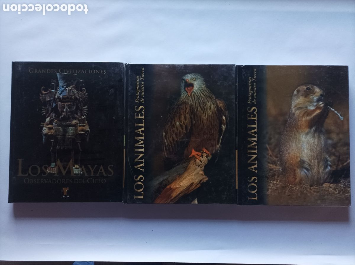 Libros: LOTE 3 LIBROS. LOS MAYAS. LOS ANIMALES. ED. RUEDA. IMPECABLES. - Foto 1