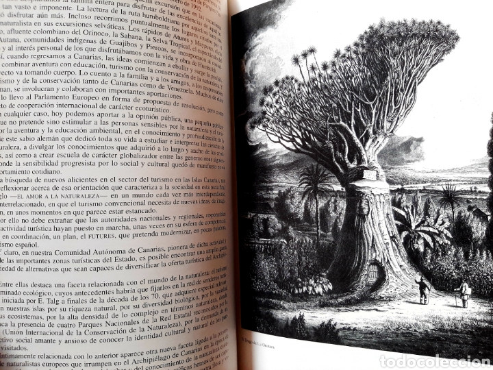 Libros: Agustín de Betancourt. Alejandro Humboldt. La cooperación al desarrollo y el turismo cultural - Foto 5 - 300534468