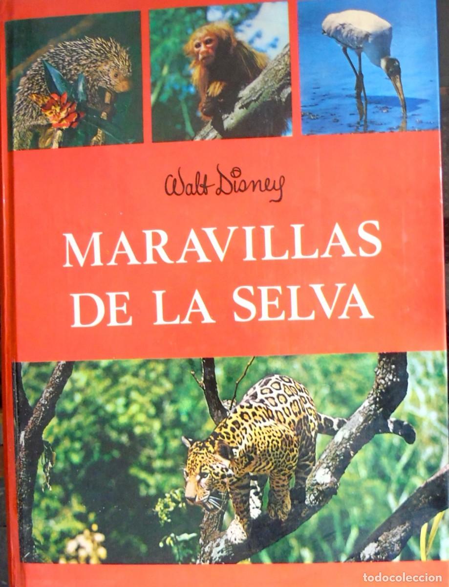 Libros: LIBRO MARAVILLAS DE LA SELVA WALT DINEY - Foto 1