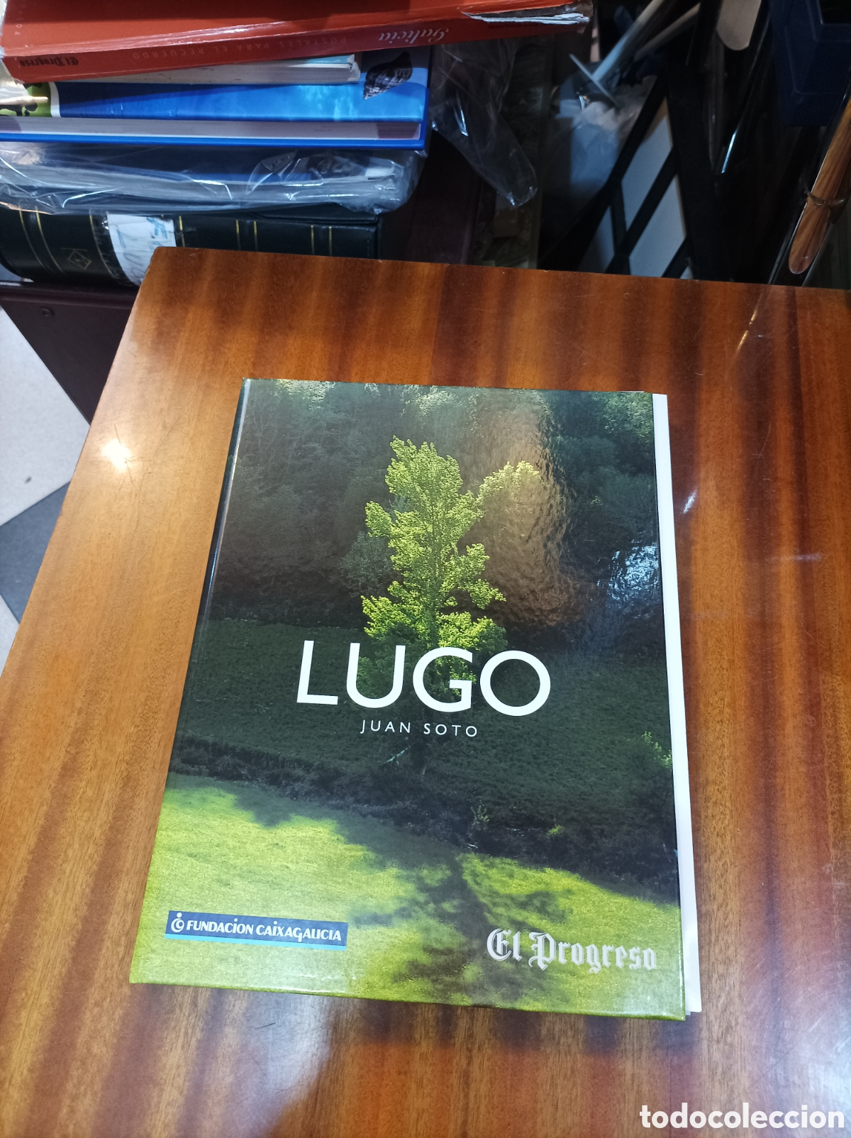 Libros: LUGO .JUAN SOTO .EL PROGRESO.2001 COMPLETO - Foto 1