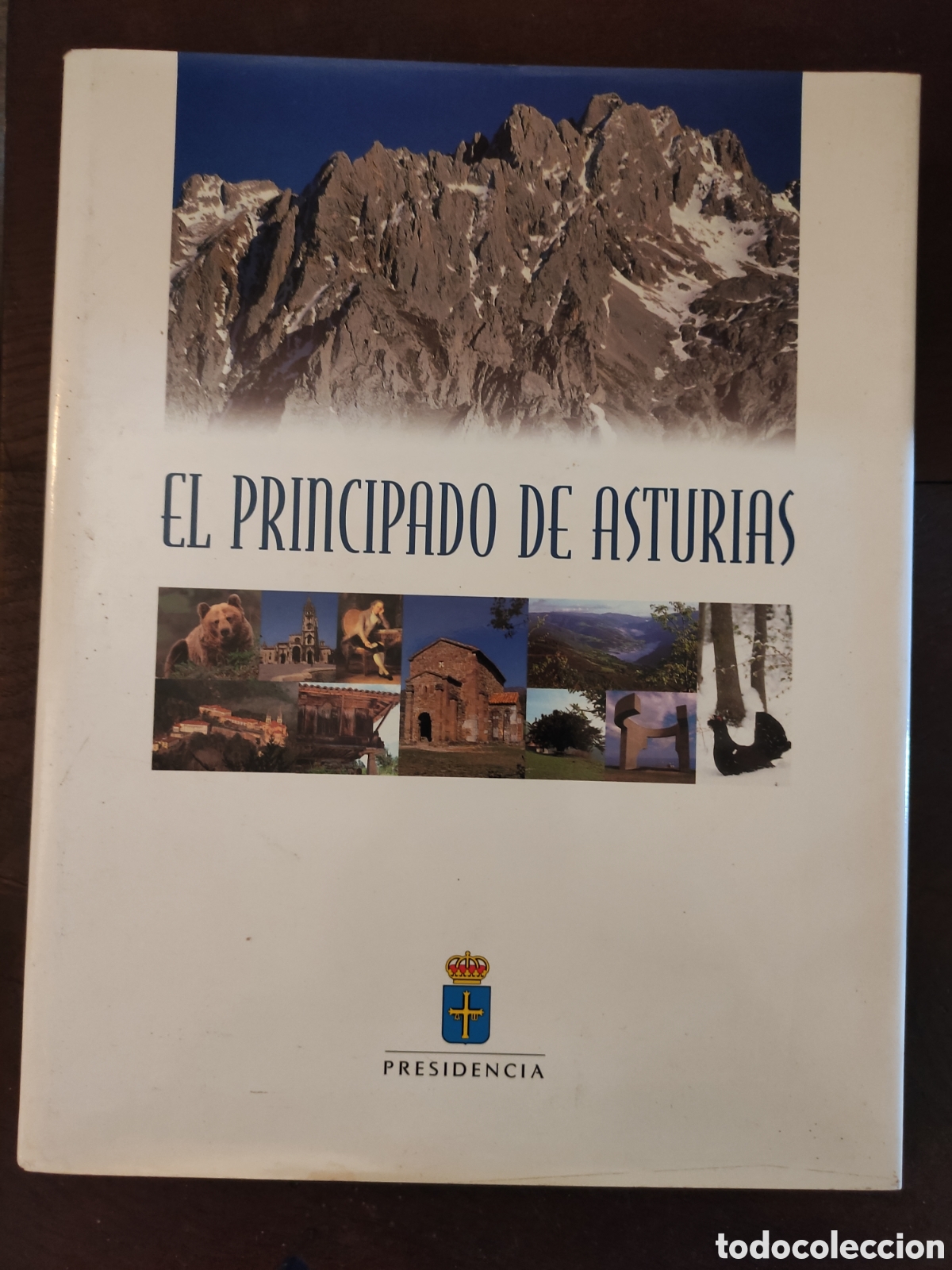 Libros: El Principado de Asturias. Ed. Nobel. - Foto 1