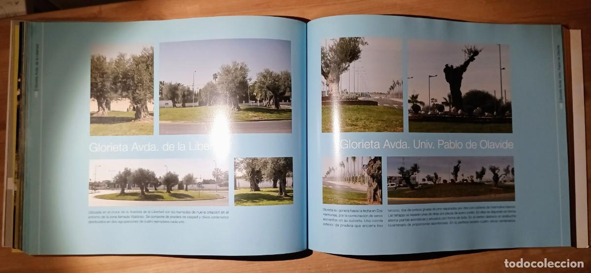 Libros: DOS HERMANAS. UNA CIUDAD, UN JARDIN. - Foto 4