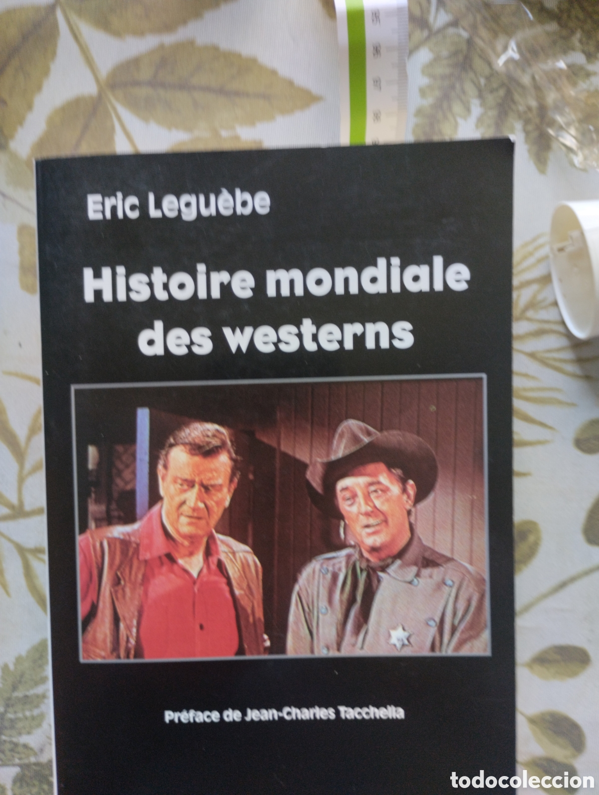 Libros: HISTOIRE MONDIALE DES WESTERNS - Foto 1