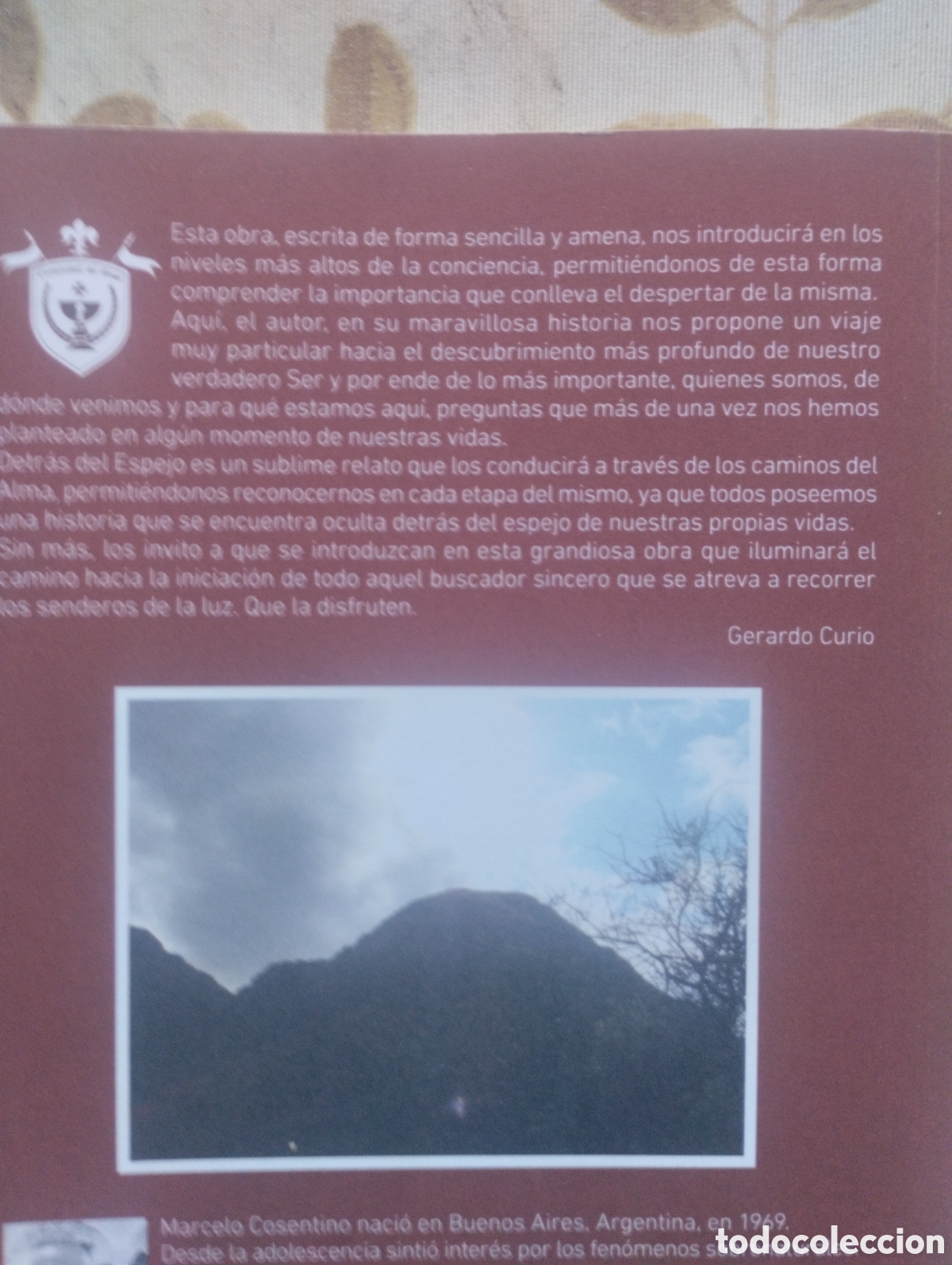 Libros: DETR&Aacute;S DEL ESPEJO, LA COMUNIDAD DEL GRIAL. - Foto 2