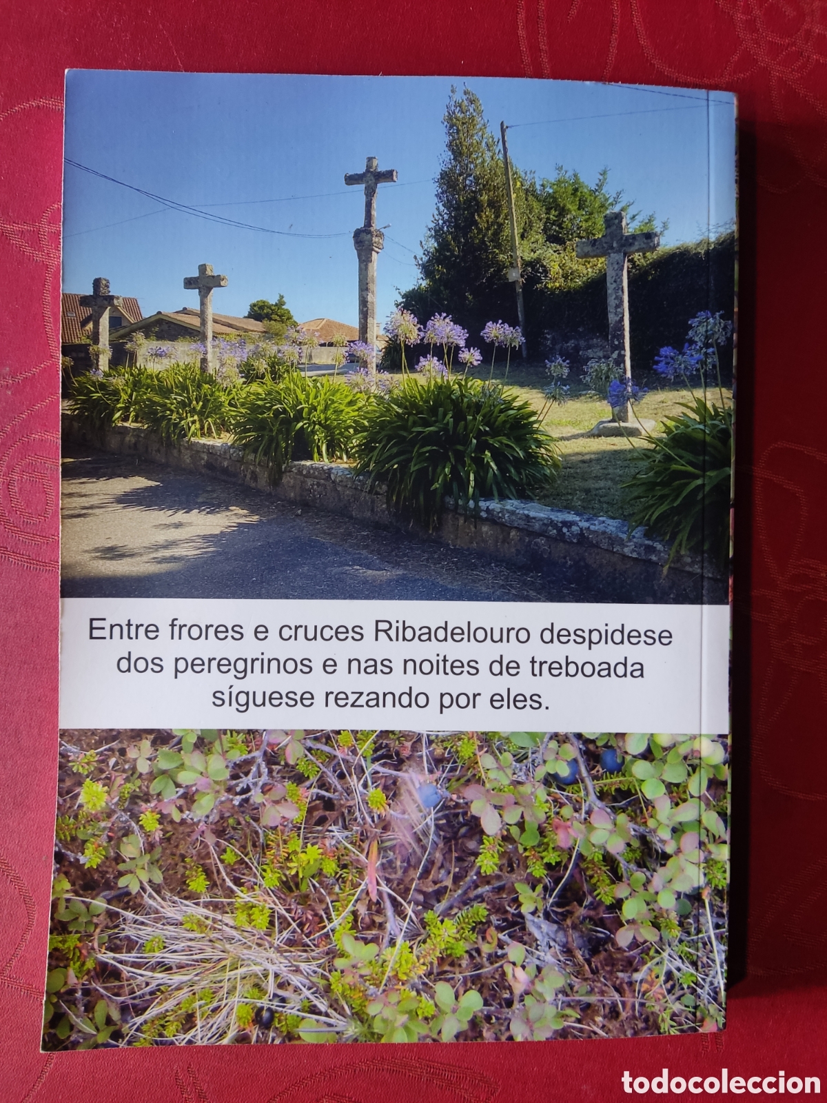 Libros: Ribadelouro Terra e auga e vida - Foto 2