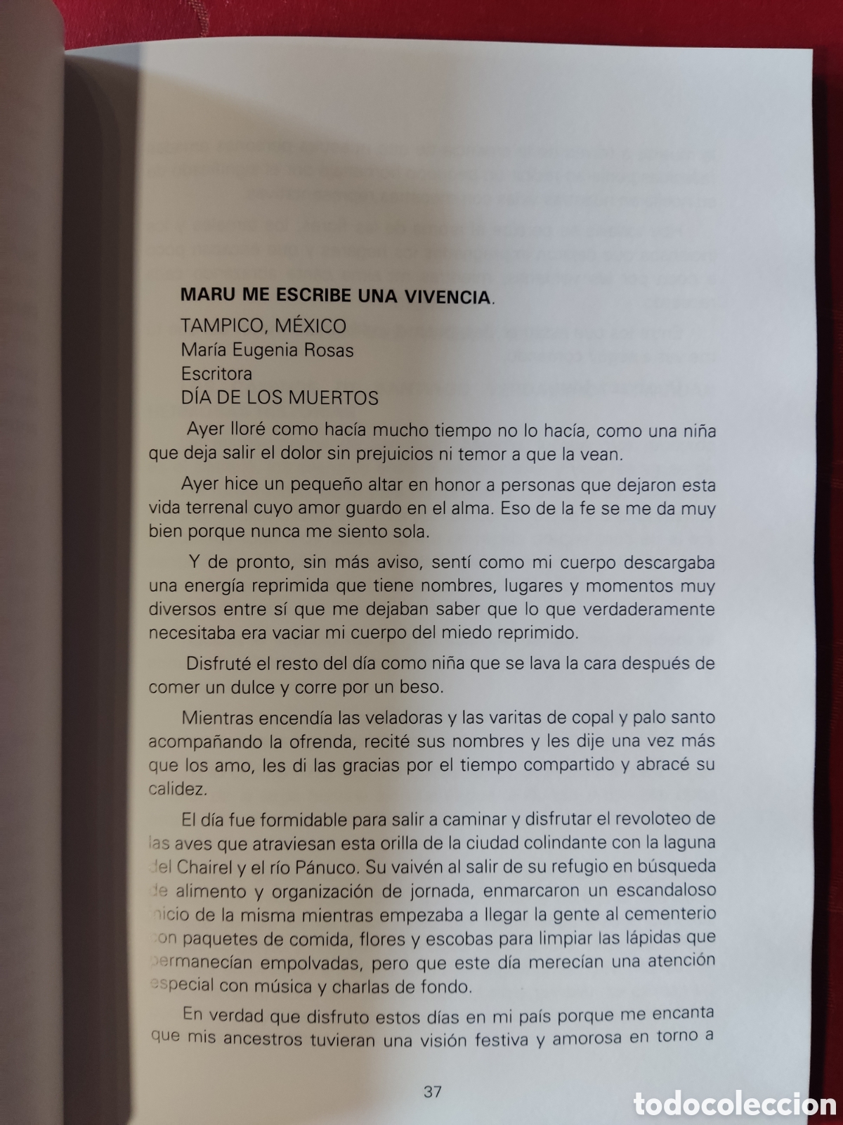 Libros: Ribadelouro Terra e auga e vida - Foto 6