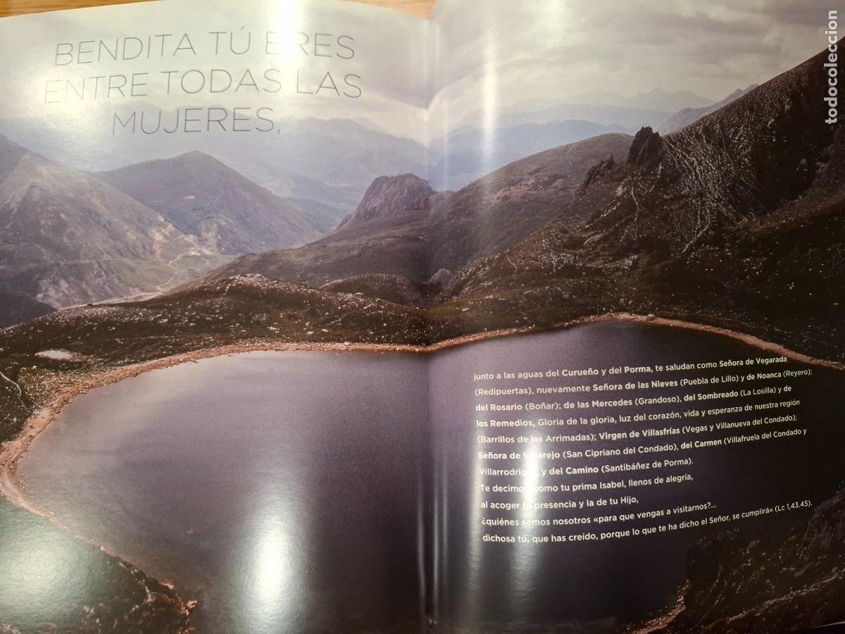 Libros: RETABLOS. LA VIRGEN DEL CAMINO DE LE&Oacute;N - Foto 9