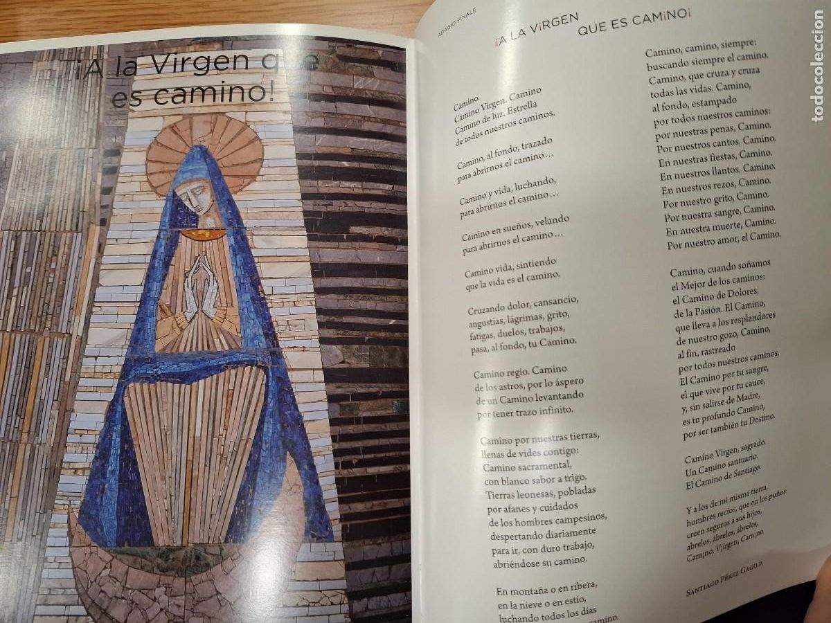 Libros: RETABLOS. LA VIRGEN DEL CAMINO DE LE&Oacute;N - Foto 14