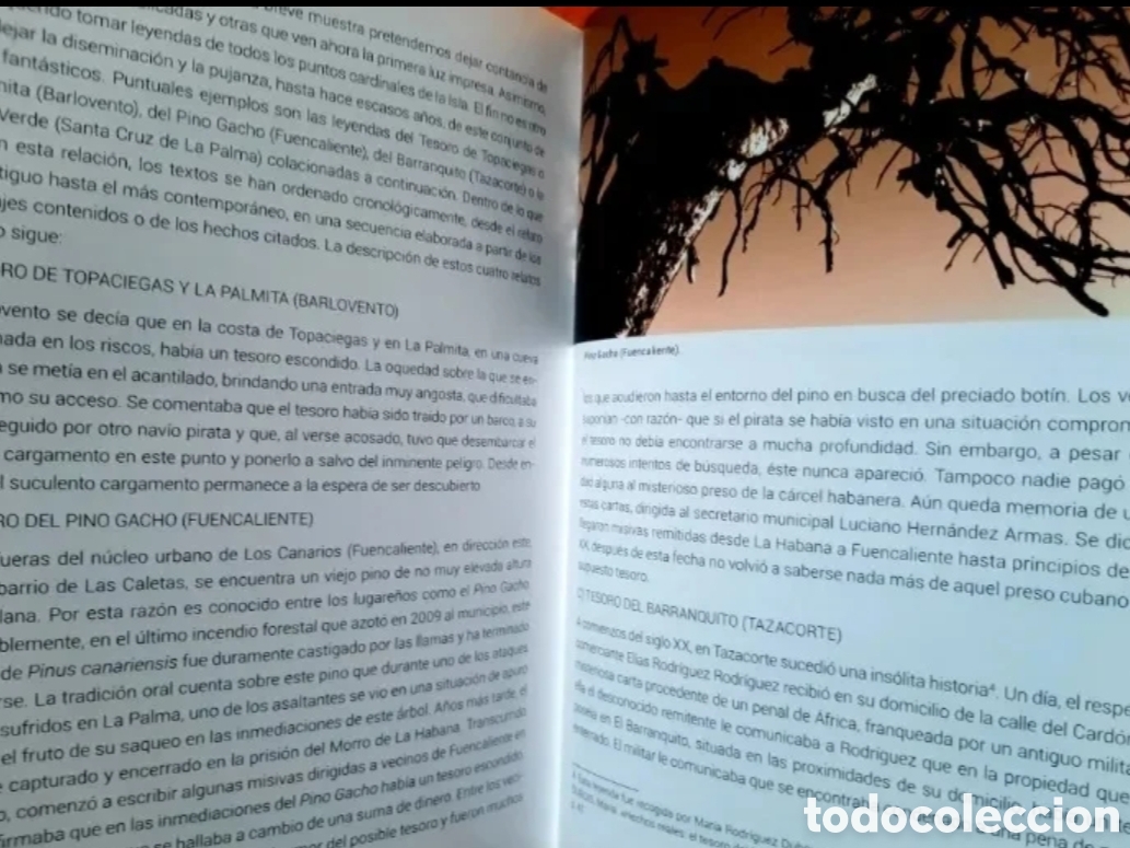 Libros: Enigmas y tesoros en Canarias. Cabeza de Perro. - Foto 6