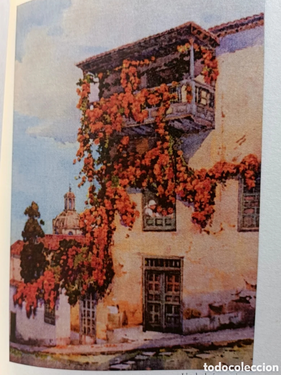 Libros: Las Islas Canarias. Florence Du Cane - Foto 3