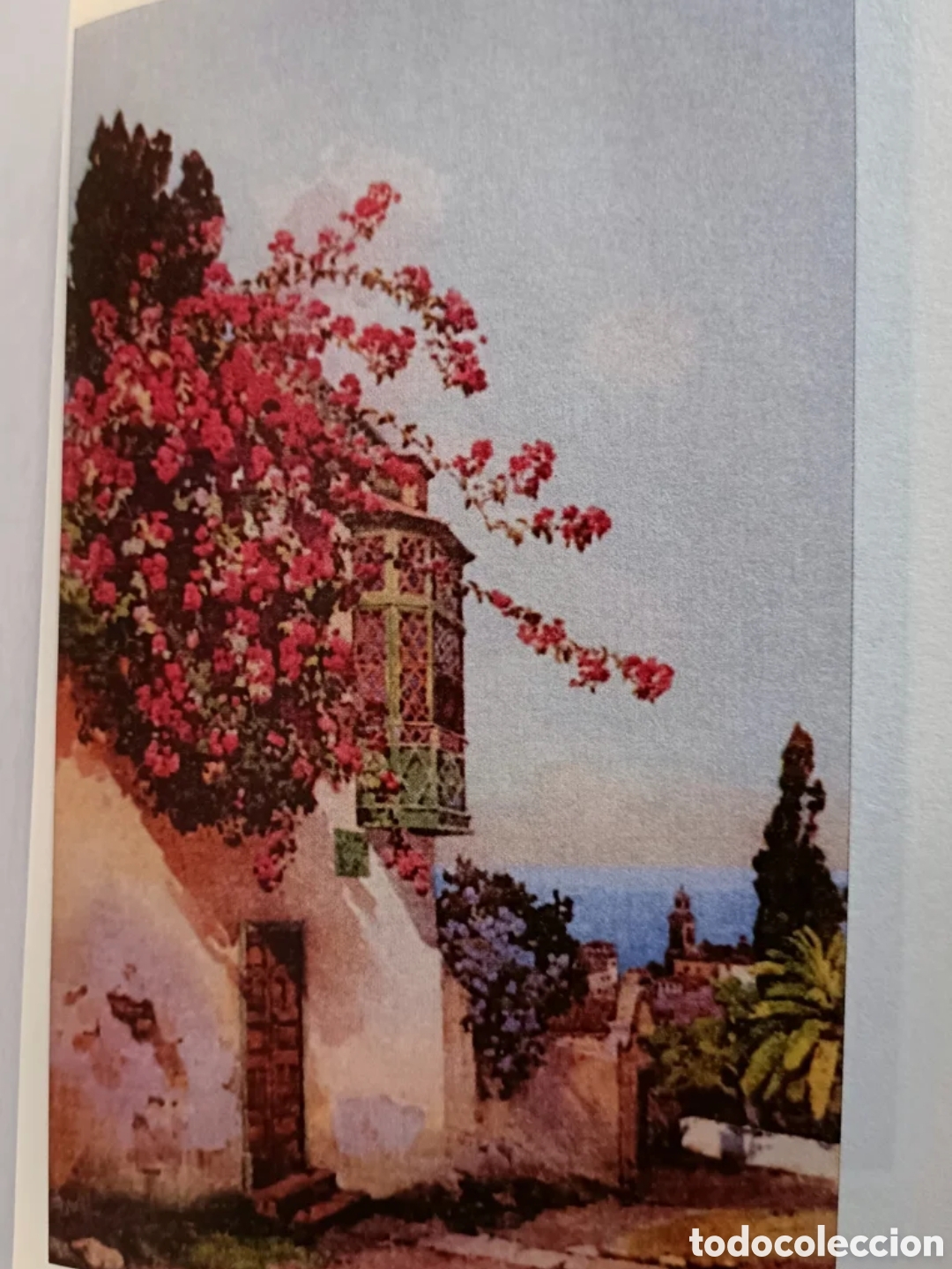 Libros: Las Islas Canarias. Florence Du Cane - Foto 4