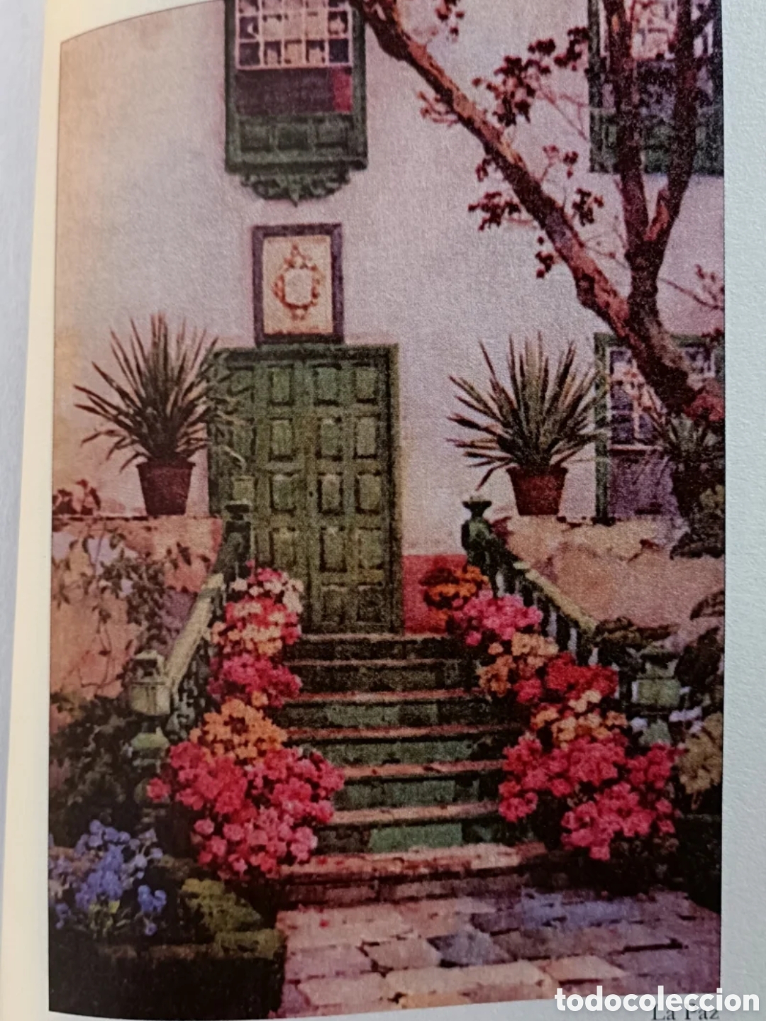 Libros: Las Islas Canarias. Florence Du Cane - Foto 5
