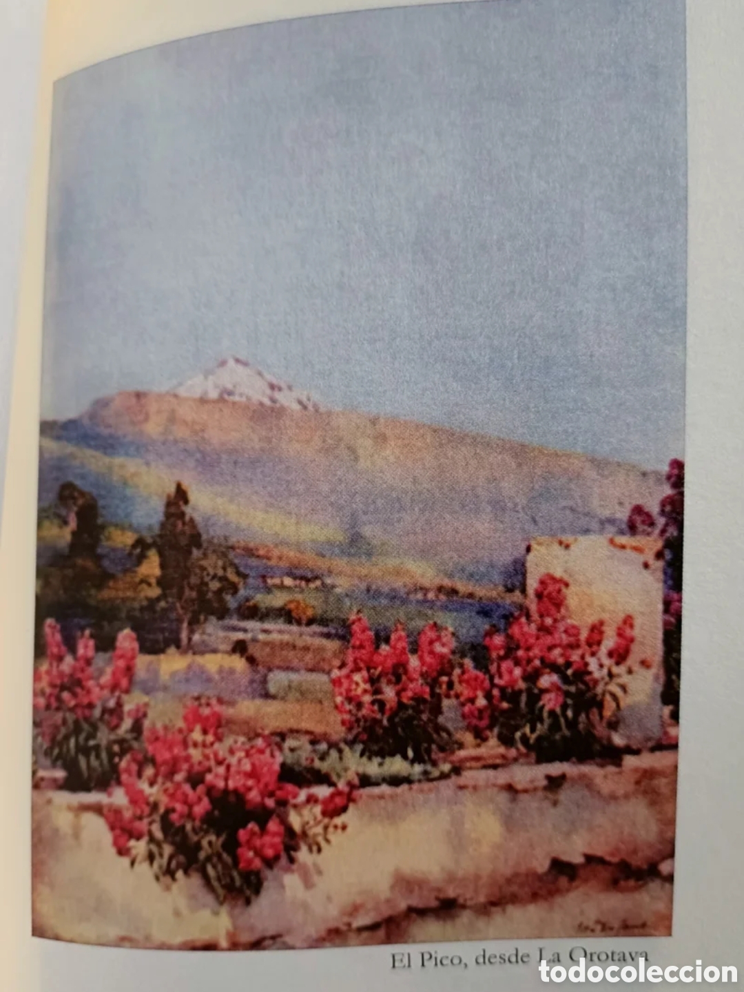 Libros: Las Islas Canarias. Florence Du Cane - Foto 6