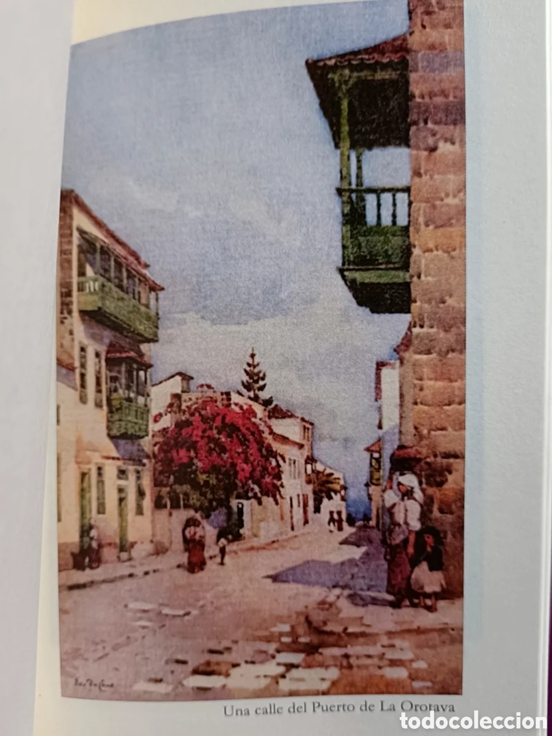 Libros: Las Islas Canarias. Florence Du Cane - Foto 7