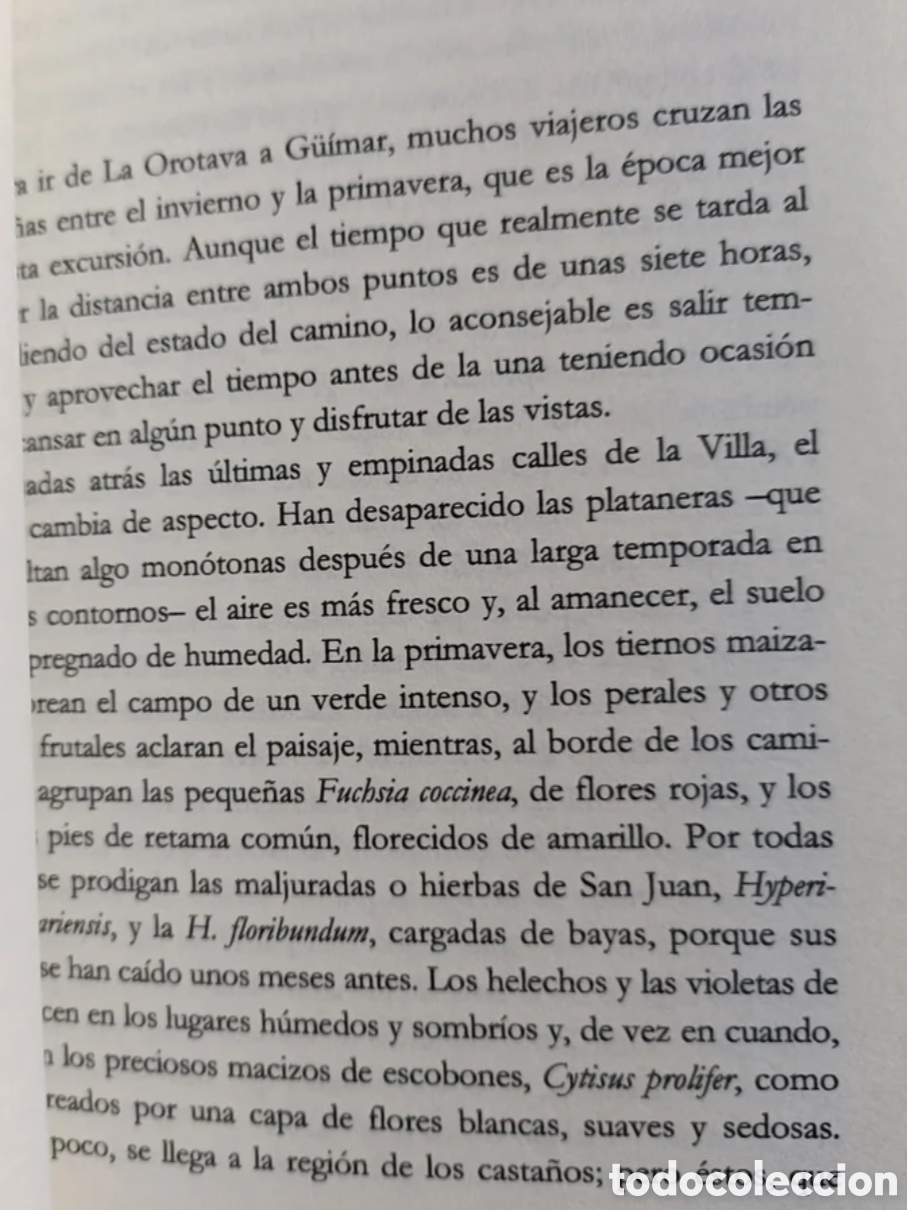 Libros: Las Islas Canarias. Florence Du Cane - Foto 9