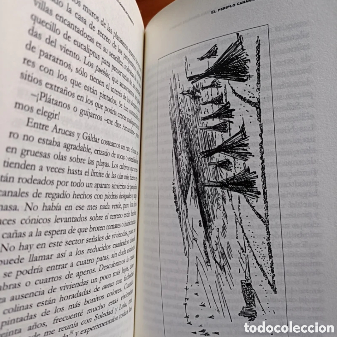 Libros: El periplo canario de TSerstevens - Foto 4