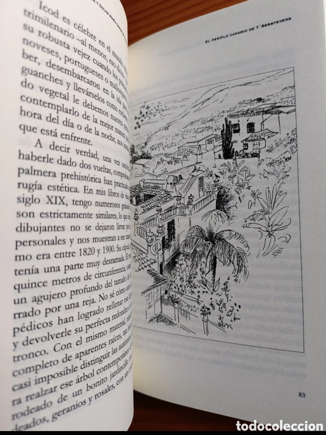 Libros: El periplo canario de TSerstevens - Foto 5