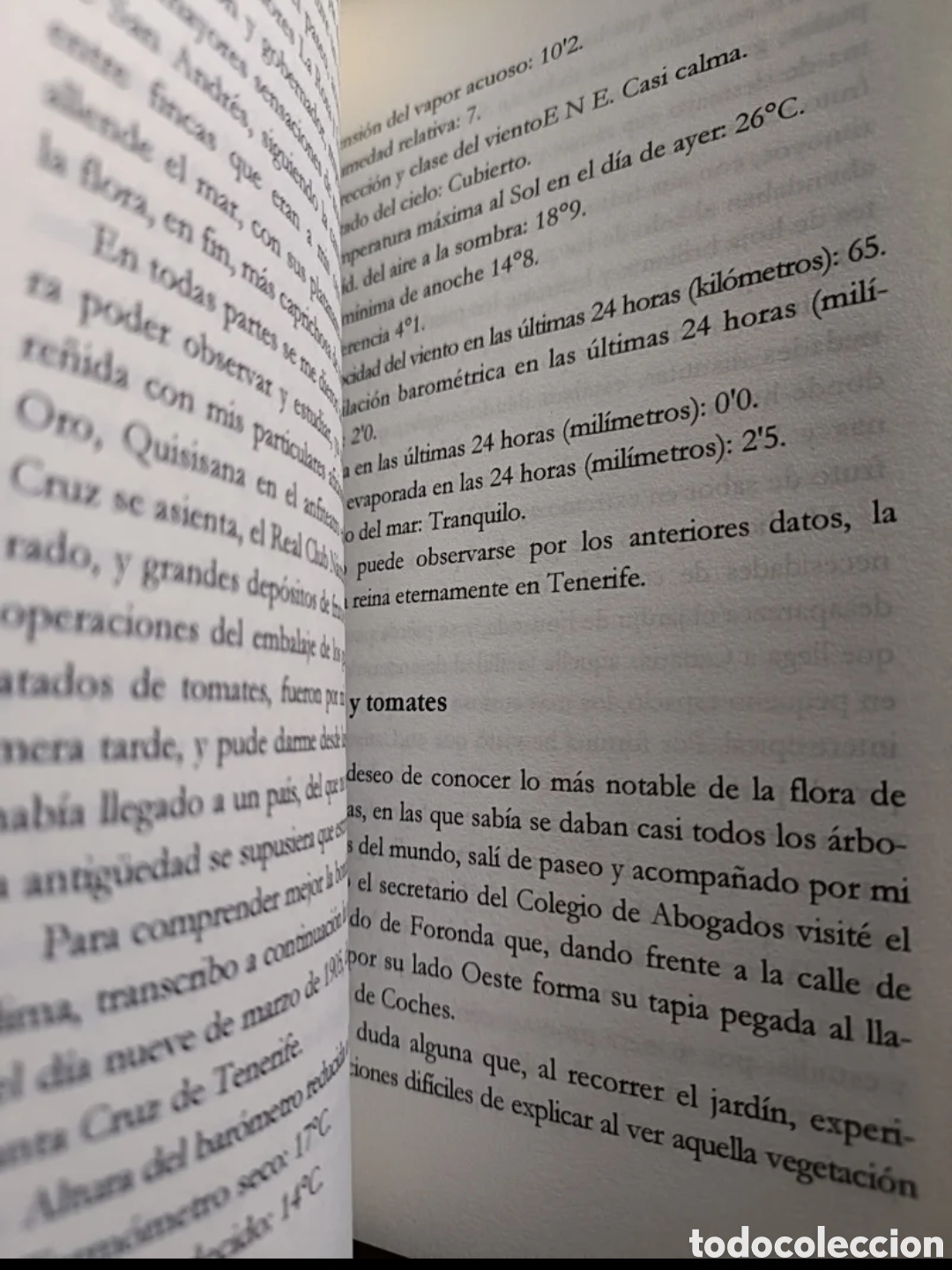 Libros: Un viaje a Tenerife. Maluquer J. - Foto 6