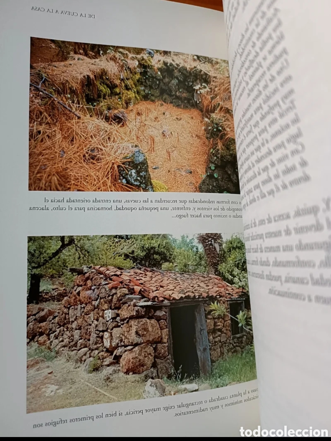 Libros: Sociedad y milicia en Canarias - Foto 6