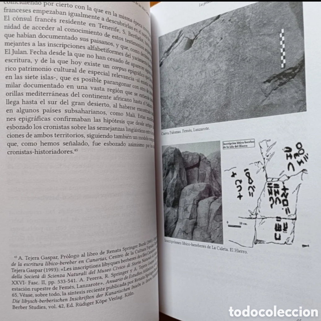 Libros: Bereberes contra Roma - Foto 9