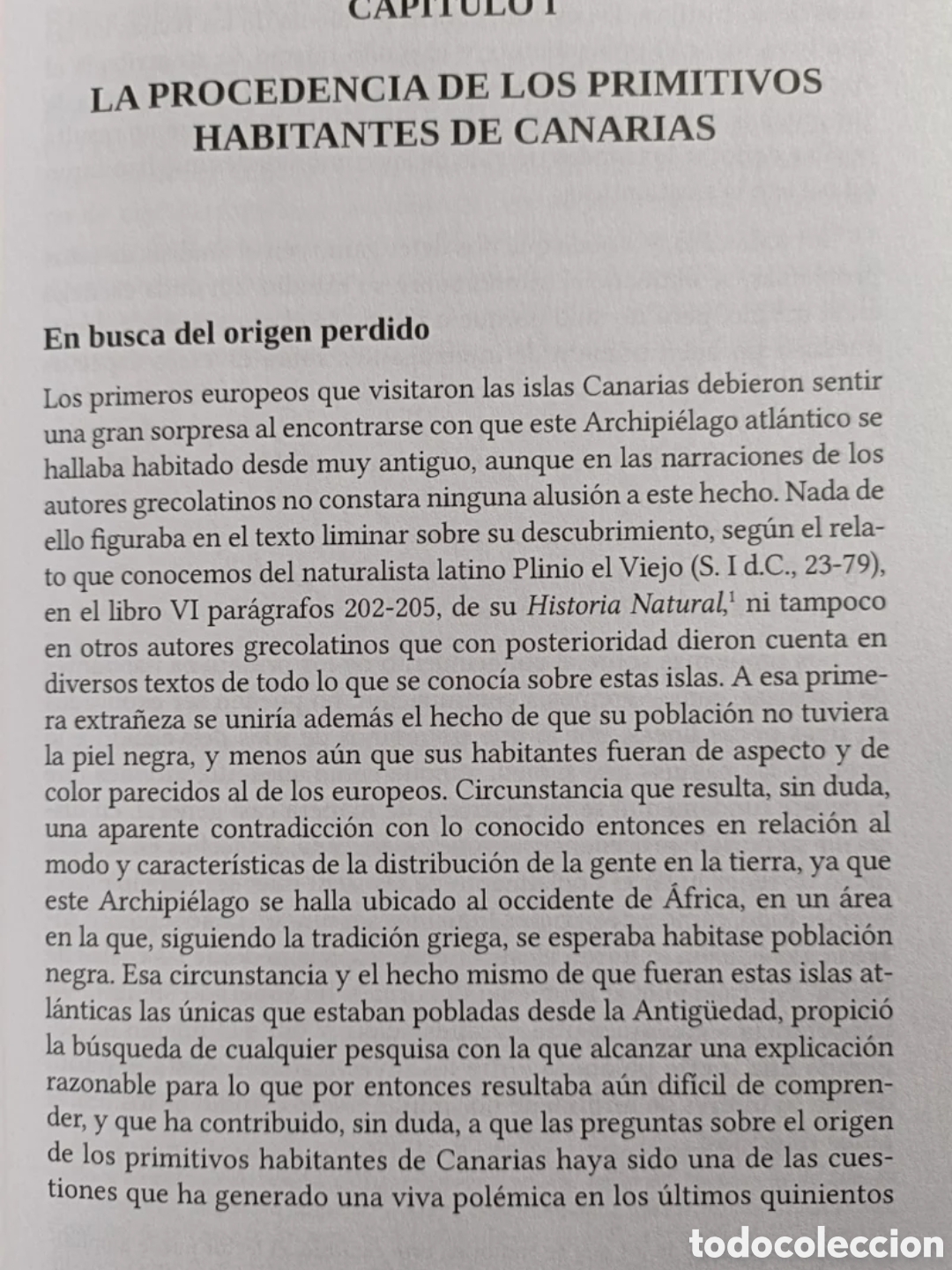 Libros: Bereberes contra Roma - Foto 10