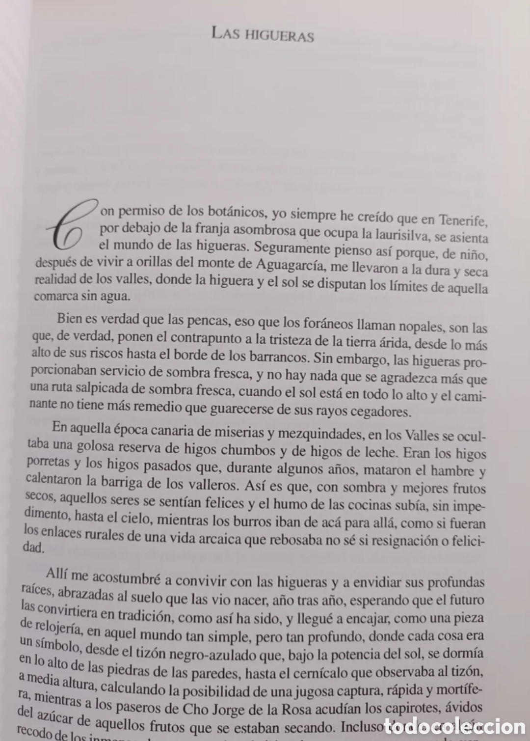 Libros: A orillas de La Laguna - Foto 4