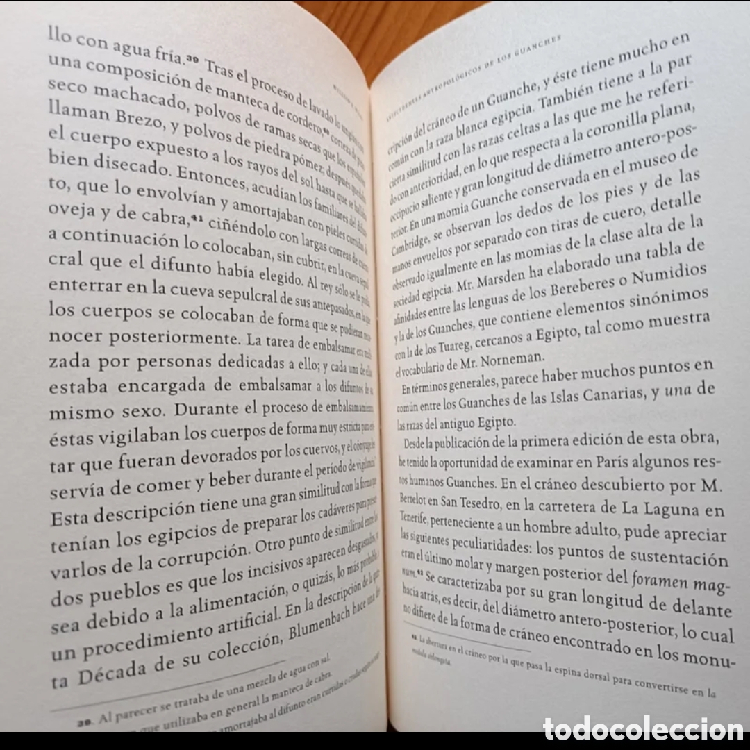 Libros: Viaje a Tenerife. William R. Wilde - Foto 5