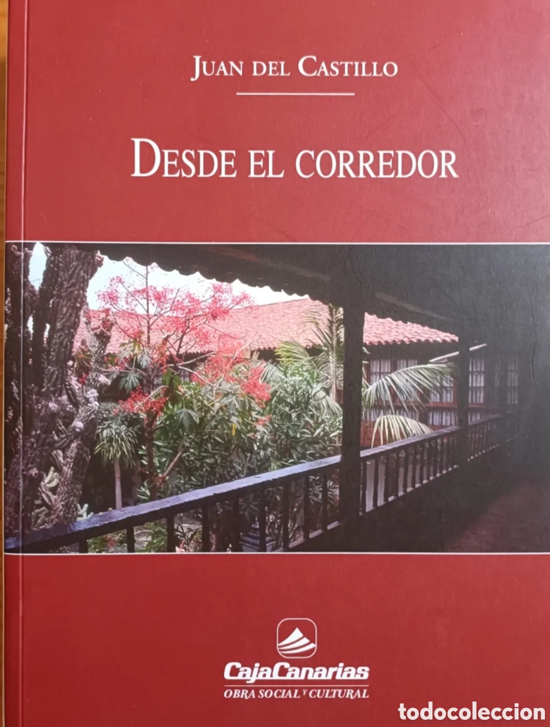 Libros: Desde el corredor. Juan del Castillo - Foto 1