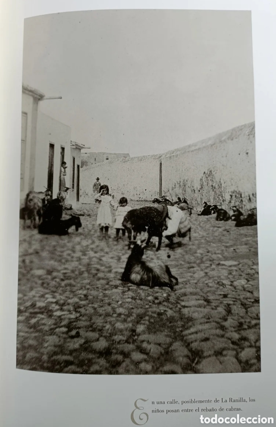 Libros: Tenerife 1906. Andr&eacute;s Ch&aacute;vez - Foto 8