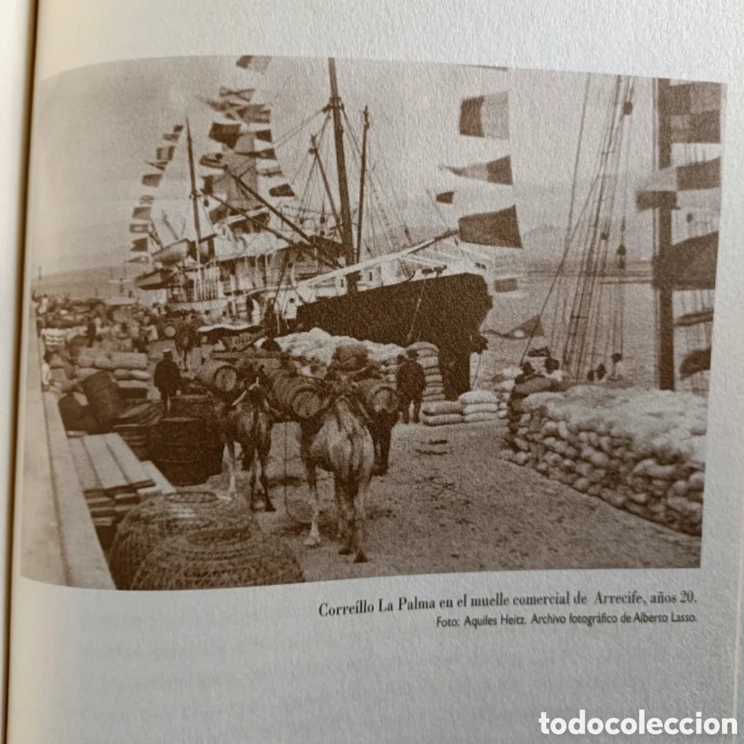 Libros: Arrecife. Antolog&iacute;a de cr&oacute;nicas - Foto 5