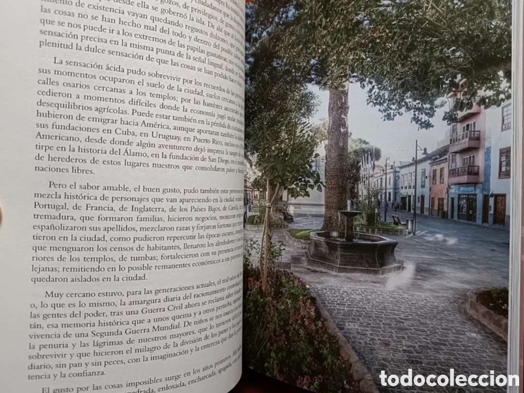 Libros: La Ciudad de los Sentidos - Foto 4