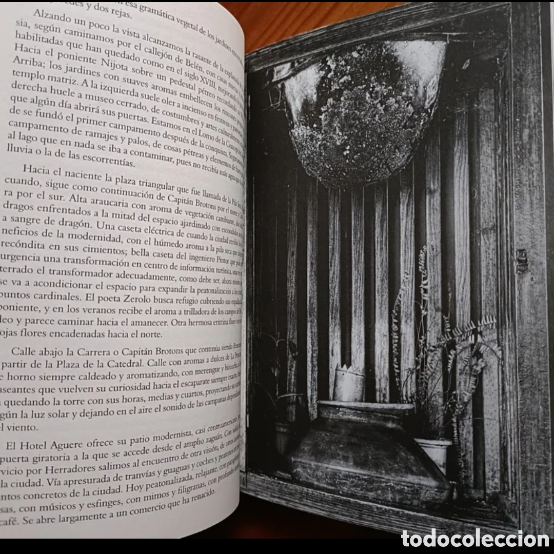 Libros: La Ciudad de los Sentidos - Foto 6
