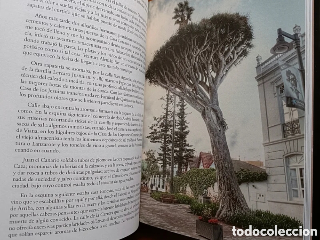Libros: La Ciudad de los Sentidos - Foto 7