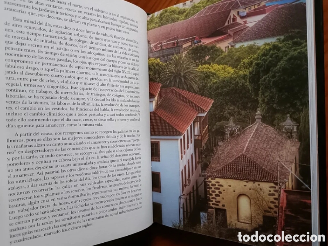 Libros: La Ciudad de los Sentidos - Foto 8