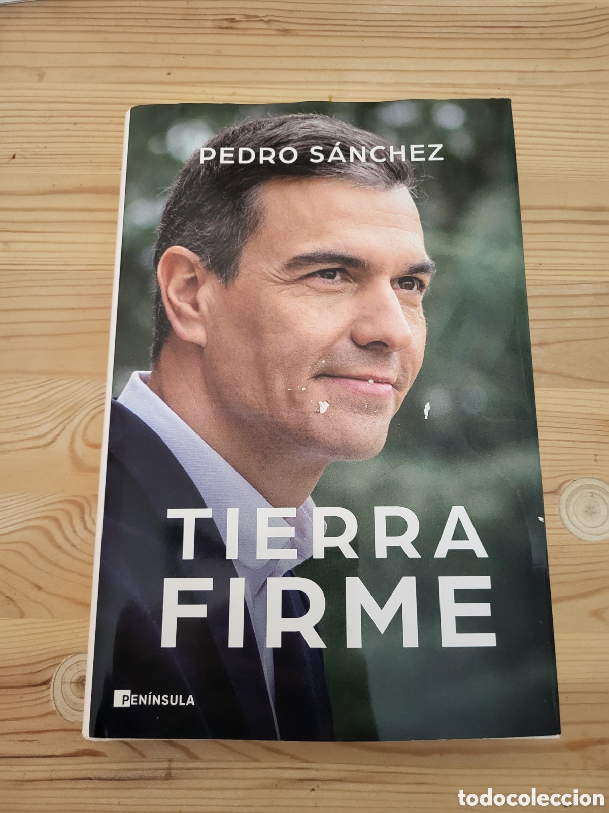 Libros: Tierra firme/PEDRO SANCHEZ - Foto 1