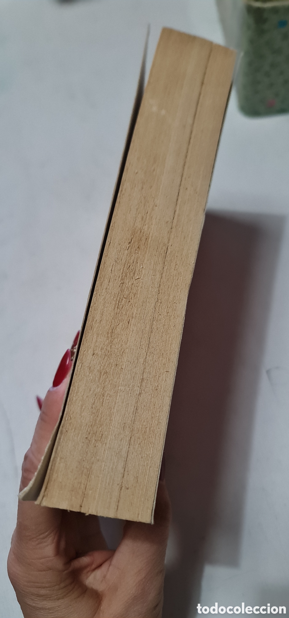 Libros: Diccionario Girano , sus costumbres - Foto 2