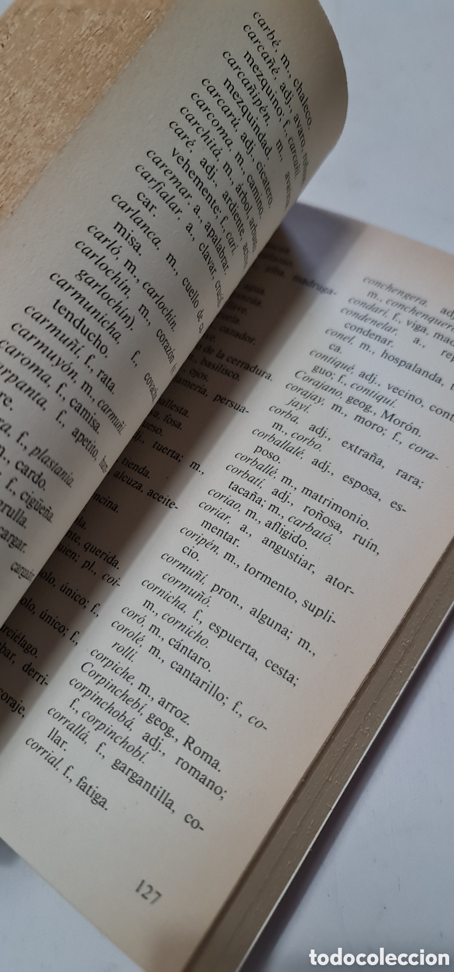 Libros: Diccionario Girano , sus costumbres - Foto 3